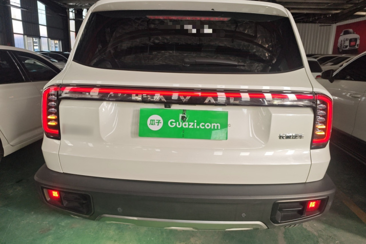 哈弗大狗 2024款 1.5T DCT边牧版车身外观6