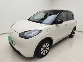 五菱汽车 五菱缤果 2023款 333km 灵犀互联+款