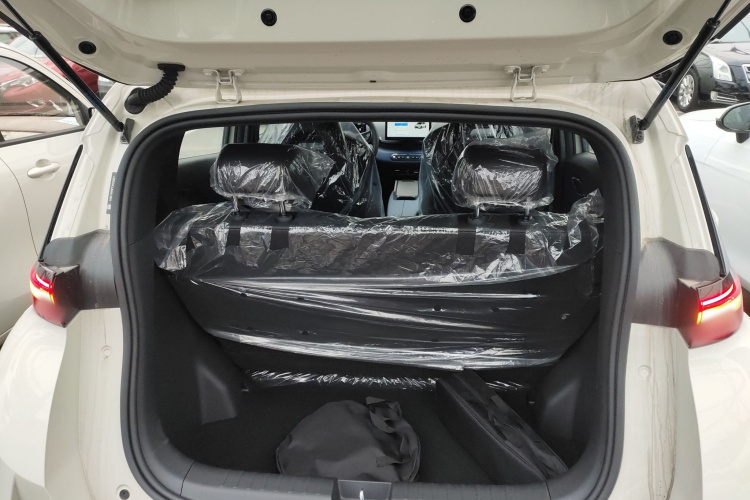 比亚迪 海鸥 2025款 305km 活力版机舱底盘23