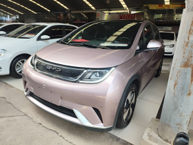 比亚迪 海豚 2023款 420km 时尚版