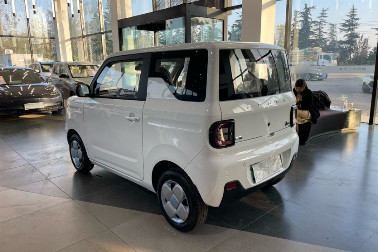 吉利银河 2024款 熊猫mini 200km 耐力熊车身外观6006