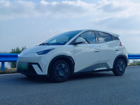 比亚迪 海鸥 2025款 305km 活力版