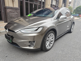 特斯拉 2017款 Model X 100D 长续航版