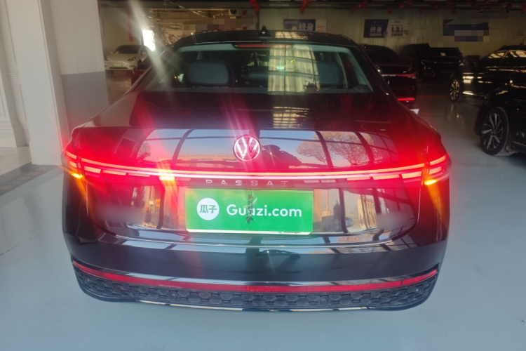 大众 帕萨特 2025款 Pro 380TSI 星空龙运版车身外观6