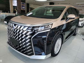 腾势D9 2024款 DM-i 980 四驱尊荣型