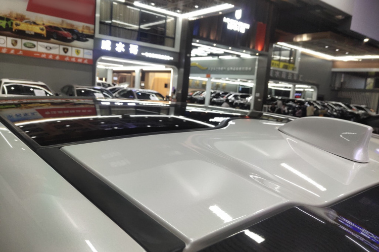 雷克萨斯RZ 2023款 450e 四驱纵享版局部细节57