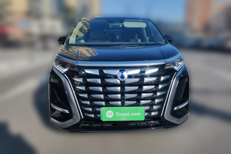 腾势D9 2022款 DM-i 970 四驱旗舰型车身外观6001