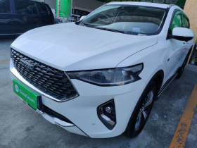 哈弗F7x 2019款 2.0T 两驱极智科技版