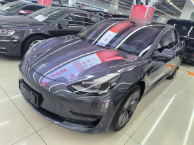 特斯拉 Model 3 2021款 标准续航后驱升级版
