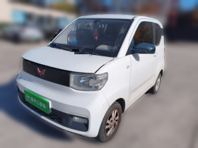 五菱汽车 宏光MINIEV 2020款 自在款 磷酸铁锂