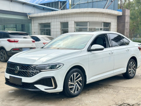 大众 朗逸 2023款 1.5L 自动星空五百万版