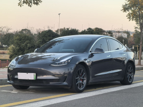 特斯拉 Model 3 2020款 改款 长续航后轮驱动版