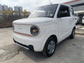 吉利银河 2024款 熊猫mini 200km 耐力熊