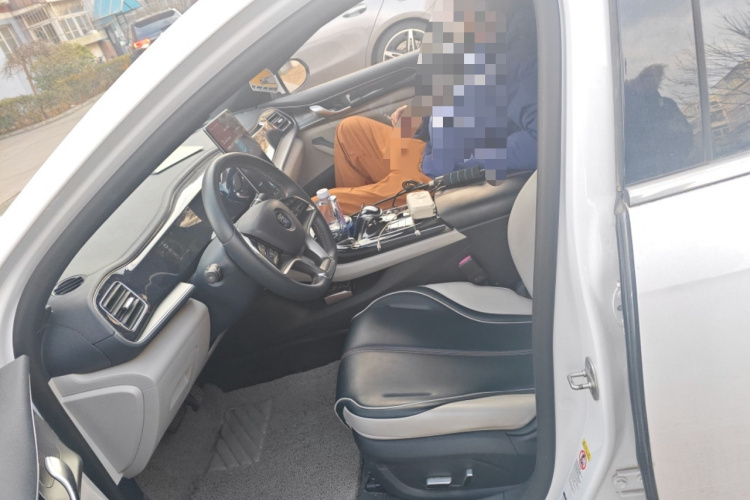 比亚迪 秦PLUS 2021款 EV 500KM 尊贵型局部细节19