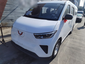 五菱汽车 五菱扬光 2024款 300KM 舒适型客车版 75kW