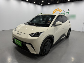 比亚迪 海鸥 2023款 活力版