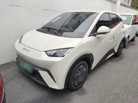 比亚迪 海鸥 2025款 305km 活力版