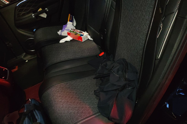 坦克300 2024款 2.0T 征服者中控内饰21