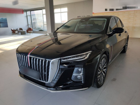 红旗H5 2024款 2.0T 自动智联旗畅版