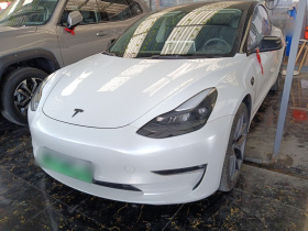 特斯拉 Model 3 2022款 Performance高性能全轮驱动版