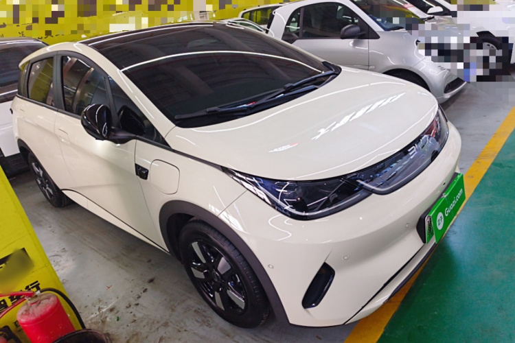 比亚迪 海豚 2025款 智驾版 410km 时尚版车身外观6002