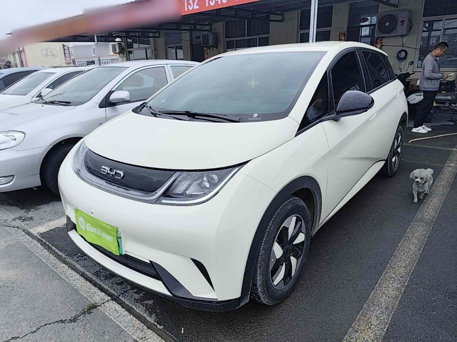 比亚迪 海豚 2025款 420km 自由版(2)