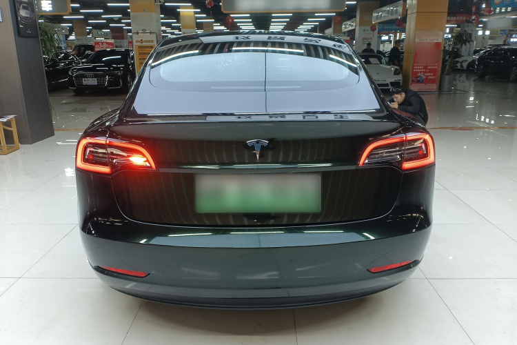 特斯拉 Model 3 2019款 标准续航后驱升级版车身外观6004