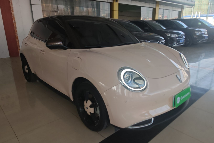 欧拉好猫 2022款 500km长续航 豪华型 三元锂车身外观3