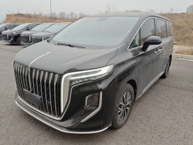 红旗HQ9 PHEV 2024款 2.0T 四驱商务版