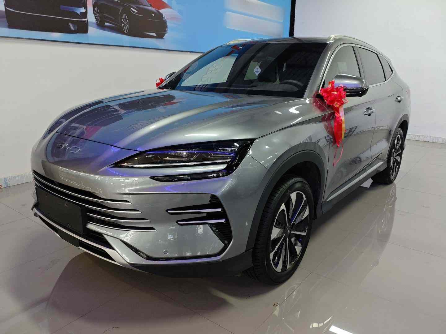 比亚迪 宋PLUS新能源 2025款 DM-i 112KM 尊贵型(2)