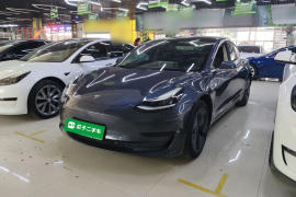 特斯拉 Model 3 2020款 改款 标准续航后驱升级版