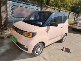 五菱汽车 宏光MINIEV 2021款 马卡龙时尚款 三元锂