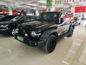 坦克300 2021款 越野版 2.0T 挑战者