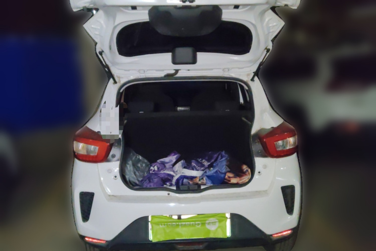 东风纳米EX1 2023款 PRO 轻风版闪电型中控内饰23