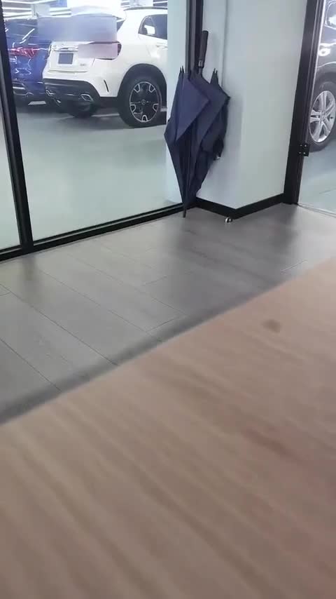 特斯拉 Model 3(进口) 2019款 长续航全轮驱动版讲解1