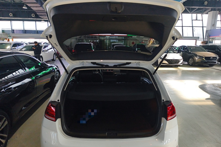 大众 高尔夫 2020款 挚爱版 280TSI DSG舒适型机舱底盘23