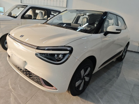 东风纳米 纳米01 2026款 初心款 330Air