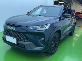 哈弗H6S 2022款 2.0T 两驱智跑版
