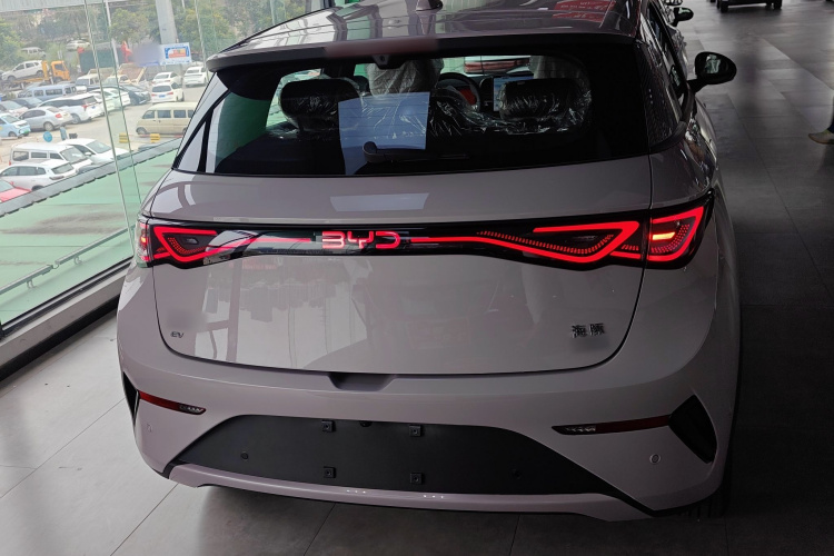 比亚迪 海豚 2025款 智驾版 420km 自由版车身外观6