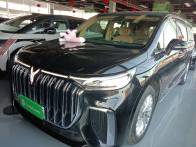 岚图汽车 岚图梦想家 2022款 低碳版 家