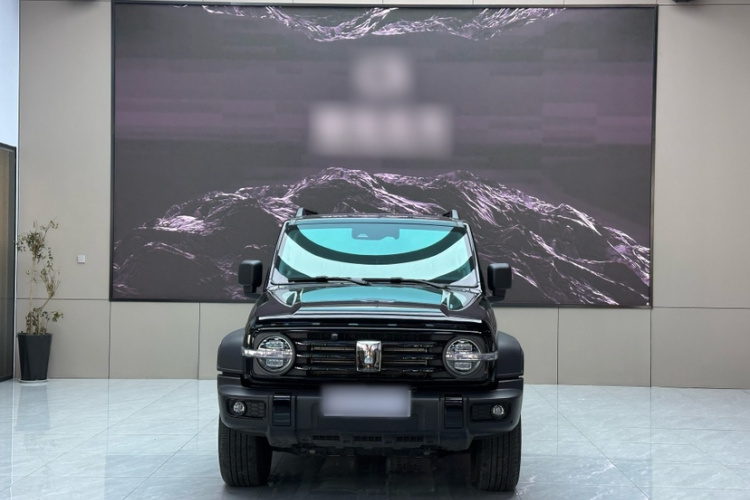 坦克300 2024款 2.0T 征服者车身外观6008