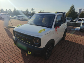 吉利银河 2025款 210km 熊猫骑士