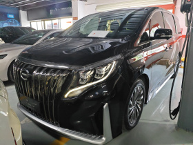 广汽传祺 传祺M8 2023款 大师系列 390T 至尊版