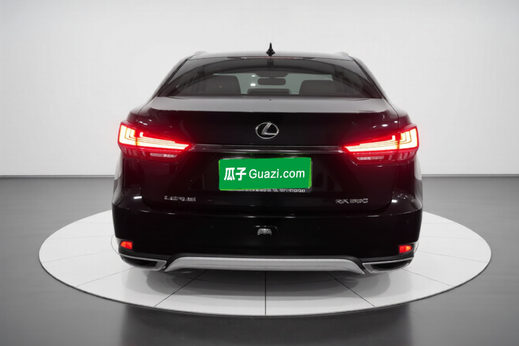 雷克萨斯RX 2020款 改款 300 两驱精英版车身外观6