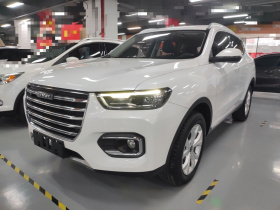 哈弗H6 2020款 1.5GDIT 自动铂金都市版