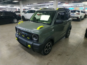 吉利银河 2024款 200km 熊猫骑士