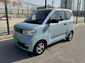 五菱汽车 宏光MINIEV 2020款 悦享款 磷酸铁锂