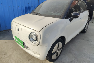 欧拉黑猫 2022款 351km 标准型 三元锂