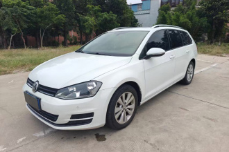 大众 高尔夫(进口) 2015款 1.4TSI 舒适旅行版