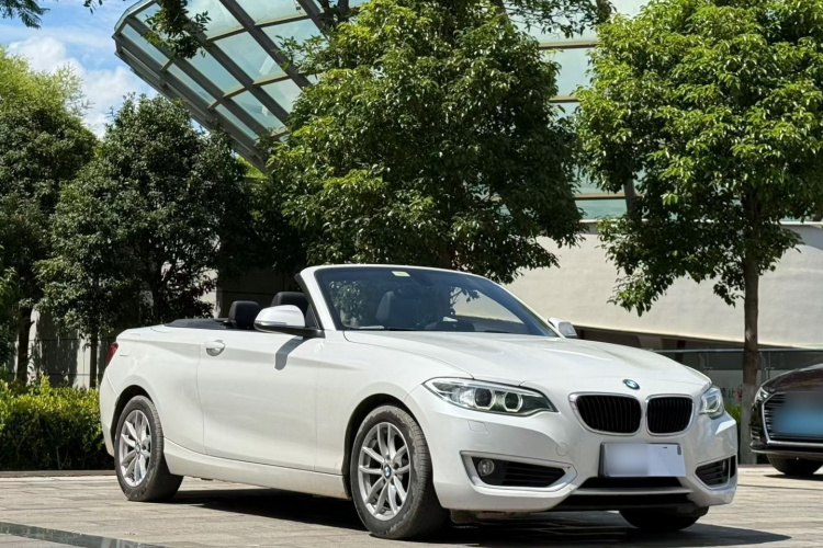 宝马2系(进口) 2015款 218i 敞篷轿跑车车身外观6003